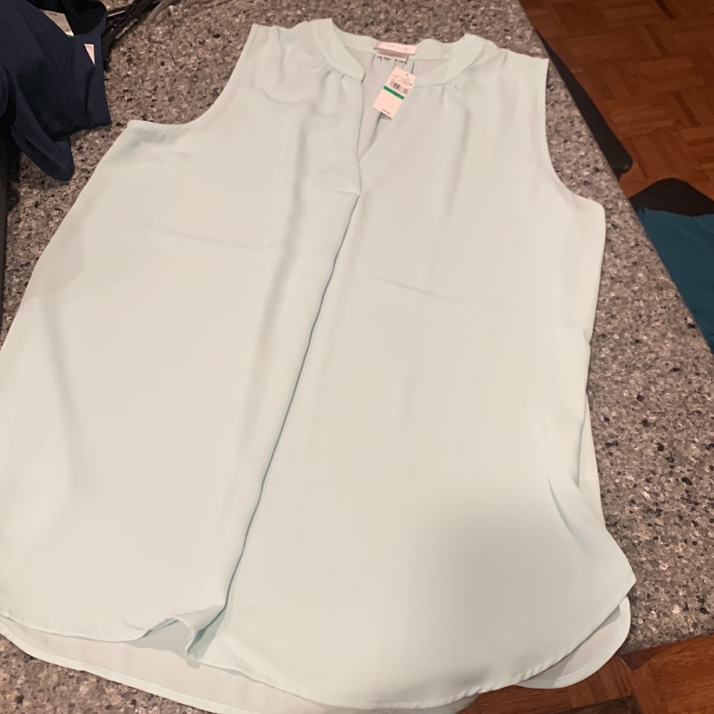 Van Huesen, sleeveless v-neck dressy tank top NWT size L mint green